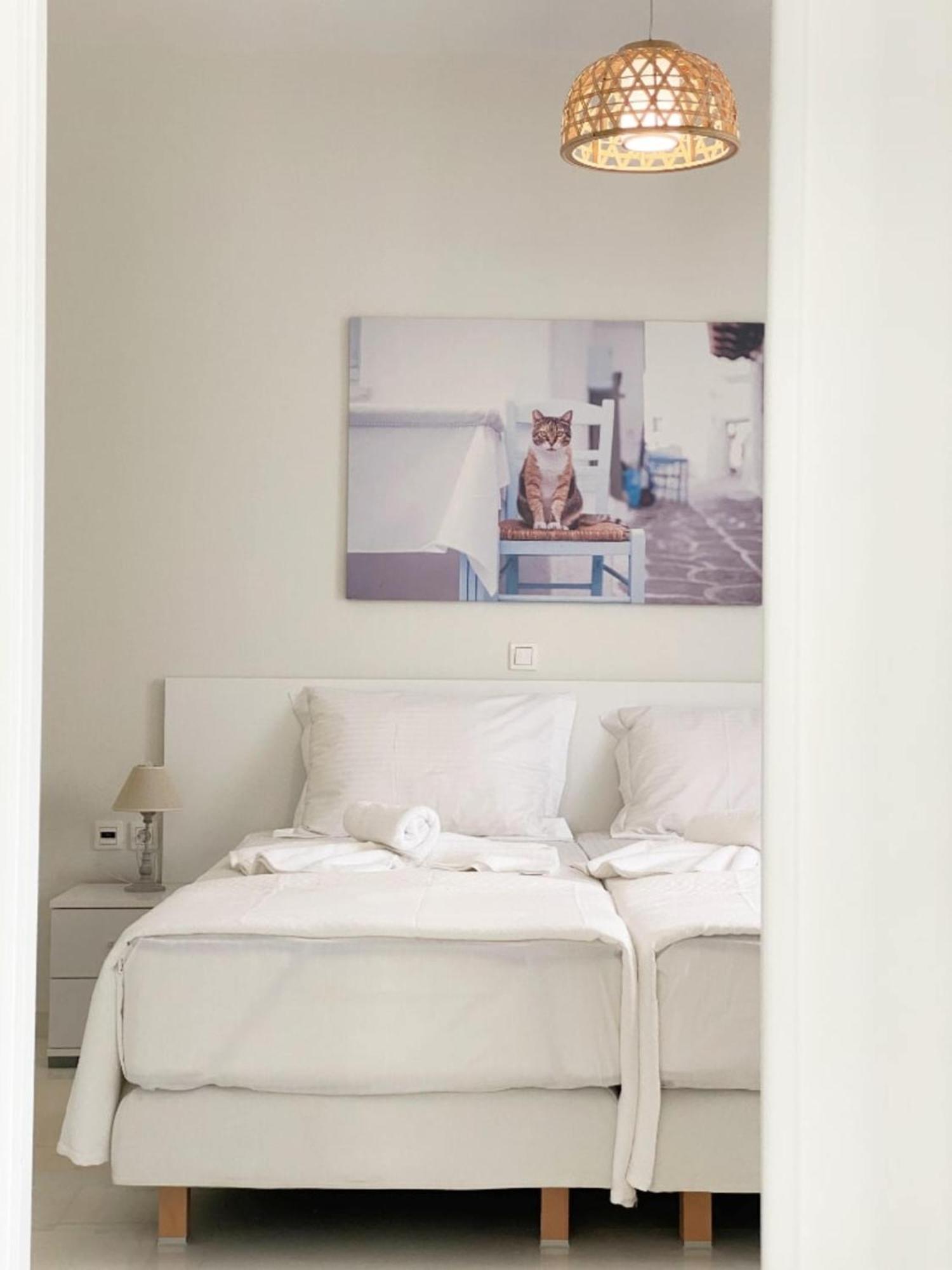 Heart Of Paros Apartments 外观 照片