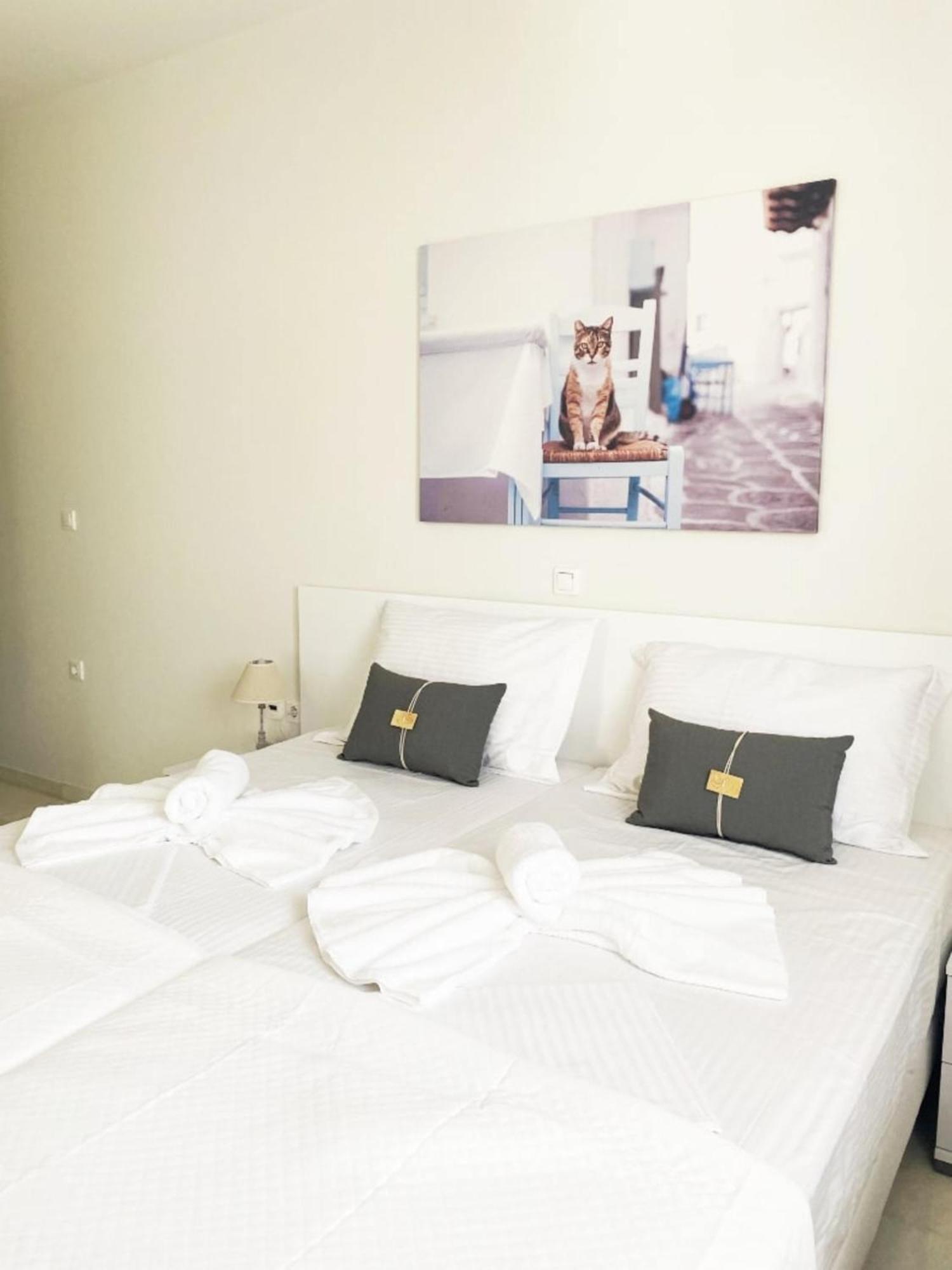 Heart Of Paros Apartments 外观 照片
